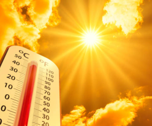 Imagem do A influência das condições ambientais no desempenho da borracha industrial